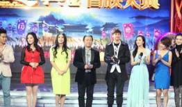 安徽卫视 明星传奇,揭秘明星背后的辉煌故事