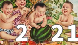 娱乐吃瓜图鉴,揭秘明星幕后故事