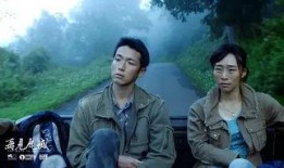 再见瓦城在线播放,一场跨越国界的情感之旅