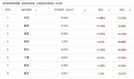 红魔10最新爆料视频下载,性能与设计双升级，电竞手机新标杆