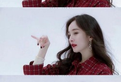 娱乐圈爆料贴吧小说,揭秘明星背后的秘密与真相