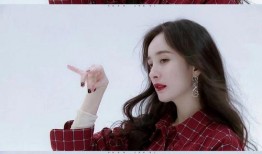 娱乐圈爆料贴吧小说,揭秘明星背后的秘密与真相