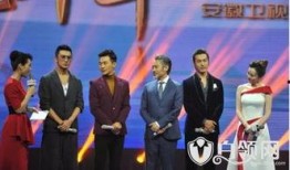 安徽卫视 明星传奇,揭秘明星背后的辉煌故事