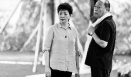 宋丹丹小品视频,宋丹丹小品视频，幽默风趣演绎生活百态