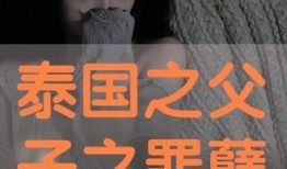 泰据罪孽免费观看,免费观看背后的情感纠葛与救赎之旅