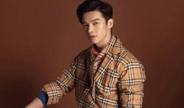 和姓明星有哪些,揭秘娱乐圈中的独特姓氏传奇