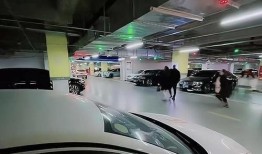 车库男女在线播放,激情燃烧的青春岁月