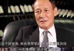 陈惠敏 爆料成龙视频大全,陈惠敏独家爆料，揭秘巨星幕后故事