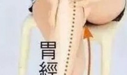 经络操视频,轻松养生，激活身体潜能