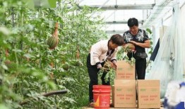 新瓜最新爆料河北