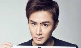 和姓明星有哪些,揭秘娱乐圈中的独特姓氏传奇