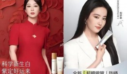 如何明星代言广告,揭秘明星代言广告的魔力与策略