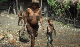 原始生活第四季无码,回归自然，挑战极限的生存之旅