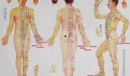 经络操视频,轻松养生，激活身体潜能