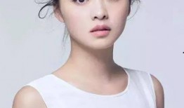 江南stly明星,引领潮流的音乐传奇