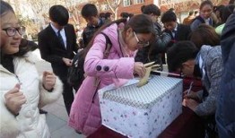 感恩节最新爆料新闻稿,揭秘背后的温馨故事与惊人真相