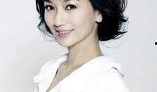 千文明星,璀璨星辰下的璀璨传奇