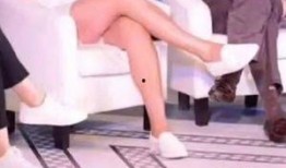 教师美腿 在线视频,在线视频带你领略优雅风采