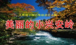 美丽的小兴安岭视频,自然奇观与生态魅力的视觉盛宴