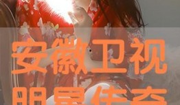 安徽卫视 明星传奇,揭秘明星背后的辉煌故事