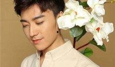 李泽鹏视频,揭秘成功之道