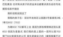 深圳房东爆料最新消息,最新租房市场动态揭秘