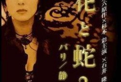 花之蛇6在线观看,在线揭秘，蛇蝎美女的复仇之旅