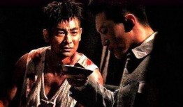 流浪者剧情爆料视频大全,视频爆料揭示剧情高潮与转折