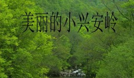 美丽的小兴安岭视频,自然奇观与生态魅力的视觉盛宴