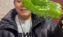男网红推特吃瓜,揭秘娱乐圈幕后真相