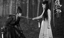 绣春刀2在线观看,暗夜风云，剑指权谋