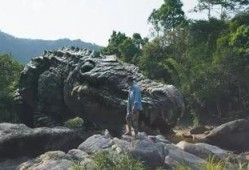 电影巨鳄岛免费观看,惊悚求生，免费观影揭秘