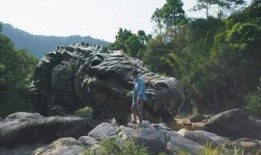 电影巨鳄岛免费观看,惊悚求生，免费观影揭秘