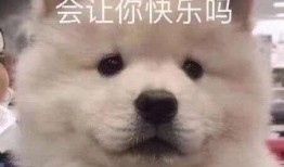 两个男网红吃瓜表情包,揭秘网络红人的“瓜”界风云