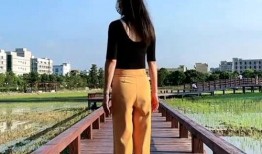 交谊舞中四步教学视频,轻松入门，舞动人生