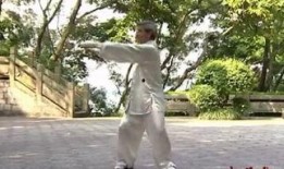 中华软功视频,探寻传统武术的柔韧魅力