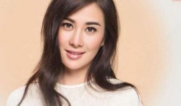 千文明星,璀璨星辰下的璀璨传奇