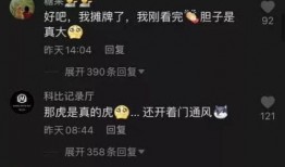 厦门事件爆料视频最新版,真相与争议再引热议