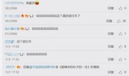 日本网络登录方式,便捷多样的身份验证方式解析