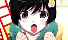 阿良良木月火丝袜,阿良良木月火的独特魅力