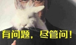 卓伟爆料狗仔团队视频,狗仔团队幕后操作全记录