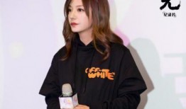 光明星传媒,引领娱乐潮流的璀璨明珠