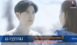 泰据罪孽免费观看,免费观看背后的情感纠葛与救赎之旅