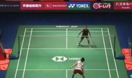 杨晨大神爆料雅典娜视频,雅典娜神秘视频背后的惊人真相