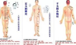 经络操视频,轻松养生，激活身体潜能