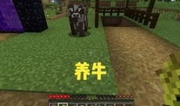 原始生活第四季无码,回归自然，挑战极限的生存之旅