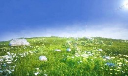 青青草原在线视频播放,青青草原在线视频播放精彩回顾