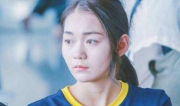 千文明星,璀璨星辰下的璀璨传奇