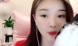 主持人无码磁力 下载,网络传播的伦理边界与法律挑战