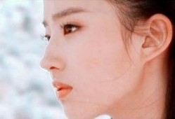 脸部轮廓明星,轮廓勾勒下的璀璨星光